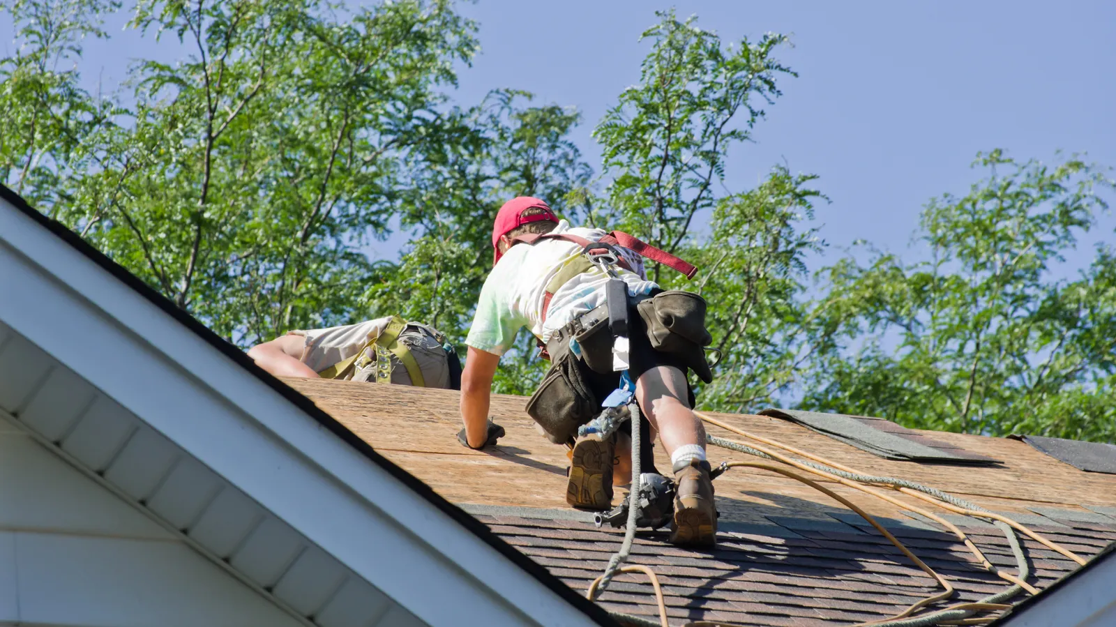 Exposed wood decking near a roof ridge with a kneeling roofer